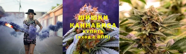 прущий лед Вязьма
