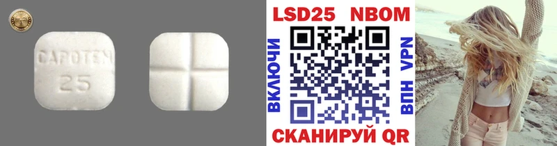 MEGA как войти  купить закладку  Пенза  LSD-25 экстази кислота 