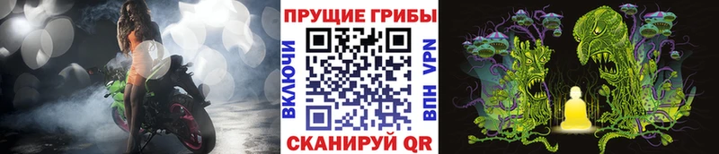 Галлюциногенные грибы MAGIC MUSHROOMS  kraken ссылки  Пенза  наркотики 